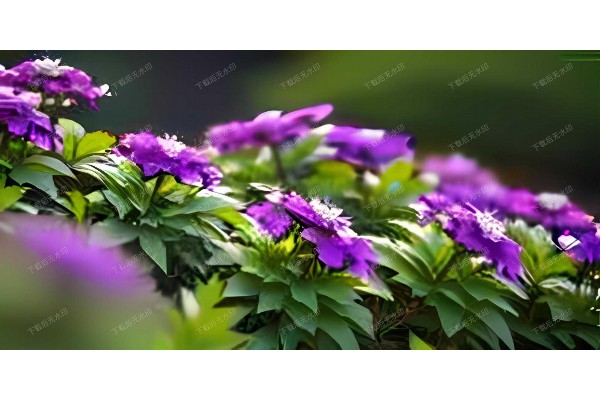 探索武汉，从君澜酒店的桑拿开始！